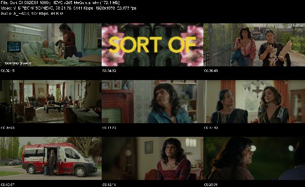 319003045_sort-of-s02e01-1080p-hevc-x265-megusta.jpg