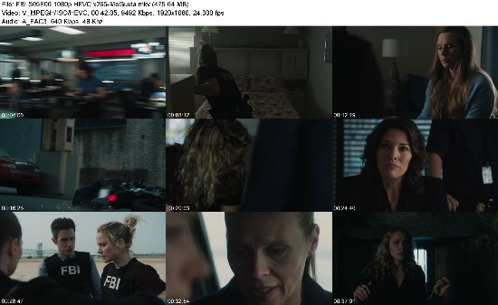 317220271_fbi-s05e06-1080p-hevc-x265-megusta.jpg