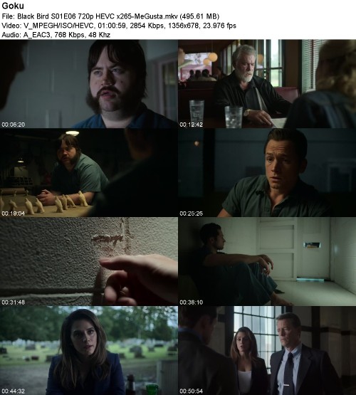 298095923_black-bird-s01e06-720p-hevc-x265-megusta.jpg