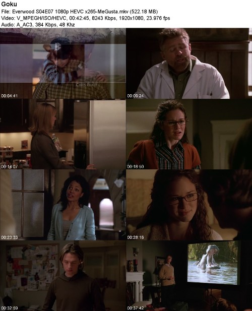 288469785_everwood-s04e07-1080p-hevc-x265-megusta.jpg