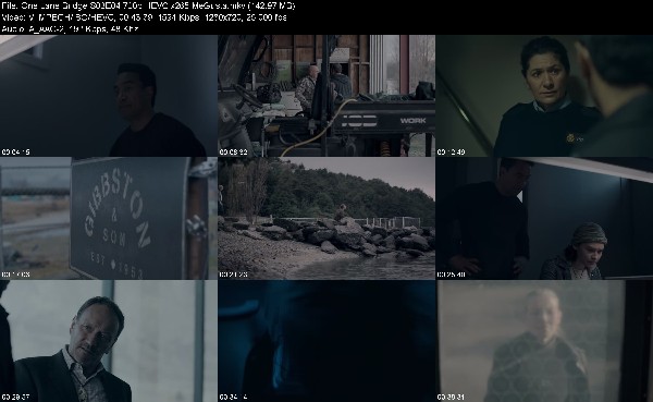 317402043_one-lane-bridge-s03e04-720p-hevc-x265-megusta.jpg