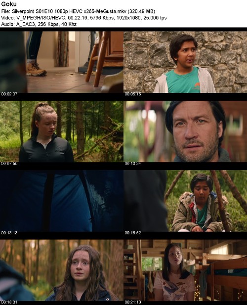 288386896_silverpoint-s01e10-1080p-hevc-x265-megusta.jpg