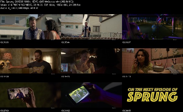303472132_sprung-s01e05-1080p-hevc-x265-megusta.jpg