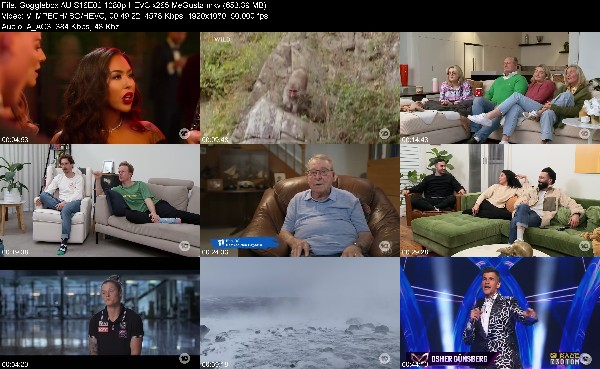 304803407_gogglebox-au-s16e02-1080p-hevc-x265-megusta.jpg