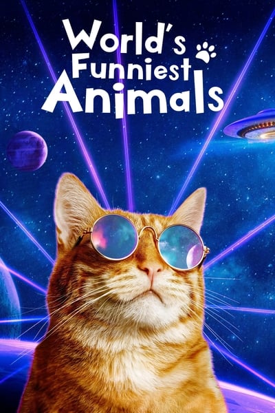 322633310_worlds-funniest-animals-s03e07-1080p-hevc-x265-megusta.jpg