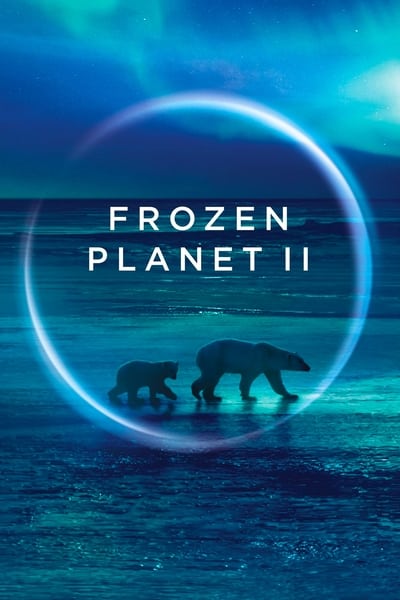 306821233_frozen-planet-ii-s01e02-1080p-hevc-x265-megusta.jpg