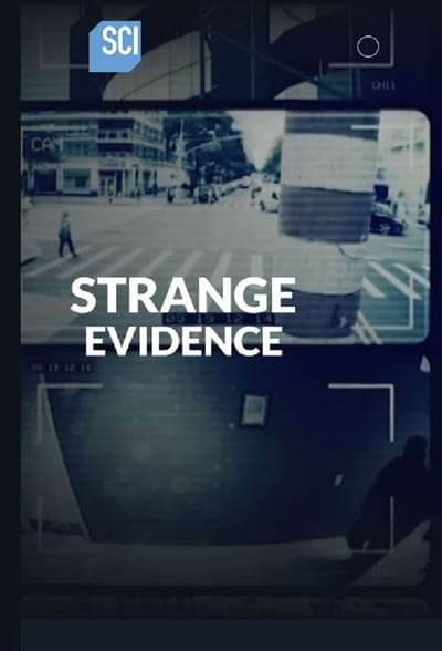 295797867_strange-evidence-s07e04-1080p-hevc-x265-megusta.jpg