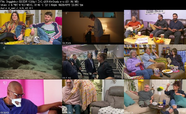 311076980_gogglebox-s20e05-1080p-hevc-x265-megusta.jpg