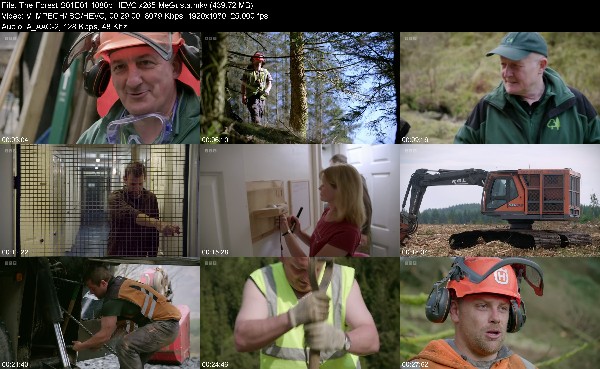 305445906_the-forest-s01e01-1080p-hevc-x265-megusta.jpg