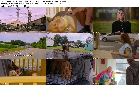 314217151_pit-bulls-and-parolees-s19e01-1080p-hevc-x265-megusta.jpg