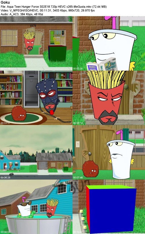 296972960_aqua-teen-hunger-force-s02e18-720p-hevc-x265-megusta.jpg