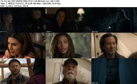 319410203_big-sky-2020-s03e08-1080p-hevc-x265-megusta.jpg