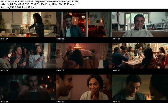 313854993_from-scratch-2022-s01e02-1080p-hevc-x265-megusta.jpg