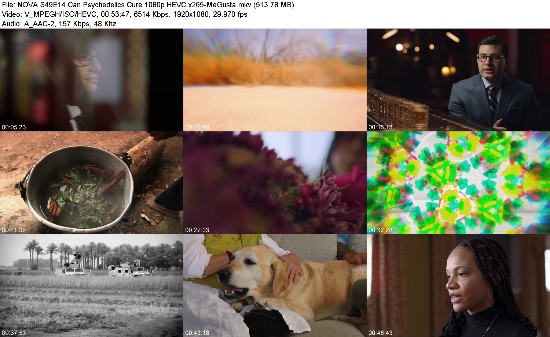 313594221_nova-s49e14-can-psychedelics-cure-1080p-hevc-x265-megusta.jpg