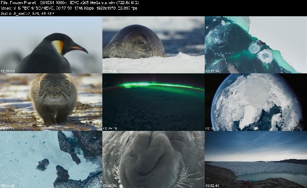 305238859_frozen-planet-ii-s01e01-1080p-hevc-x265-megusta.jpg