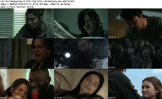 319888409_the-walking-dead-s11e24-720p-hevc-x265-megusta.jpg