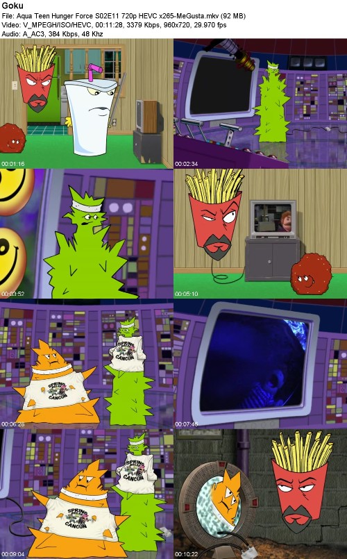 296967701_aqua-teen-hunger-force-s02e11-720p-hevc-x265-megusta.jpg