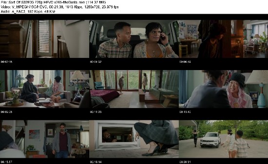 321255559_sort-of-s02e05-720p_hevc-x265-megusta.jpg