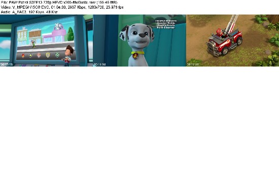 323425107_paw-patrol-s07e13-720p-hevc-x265-megusta.jpg