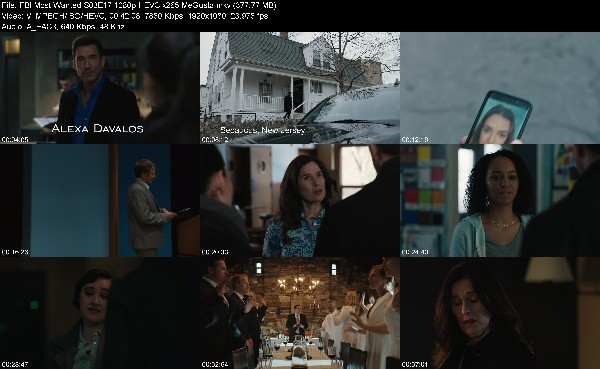 313717837_fbi-most-wanted-s03e17-1080p-hevc-x265-megusta.jpg