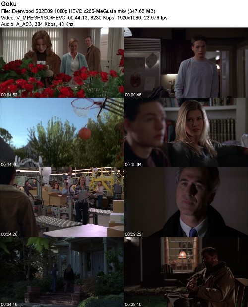 288426626_everwood-s02e09-1080p-hevc-x265-megusta.jpg