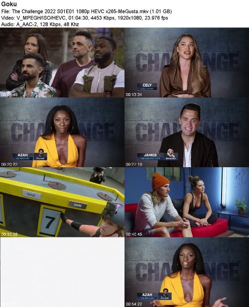 293472135_the-challenge-2022-s01e01-1080p-hevc-x265-megusta.jpg