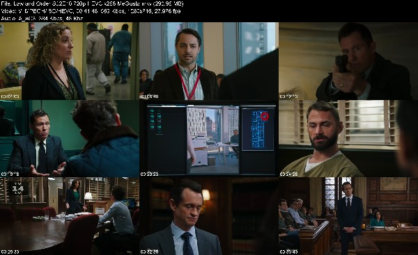 328499164_law-and-order-s22e10-720p-hevc-x265-megusta.jpg