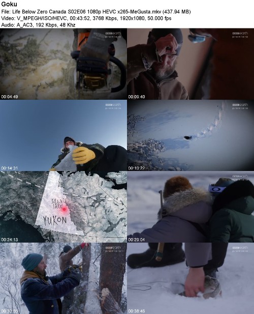 297259014_life-below-zero-canada-s02e06-1080p-hevc-x265-megusta.jpg