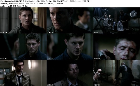 320922203_supernatural-s04e16_br_10bit_hevc-d3g.jpg