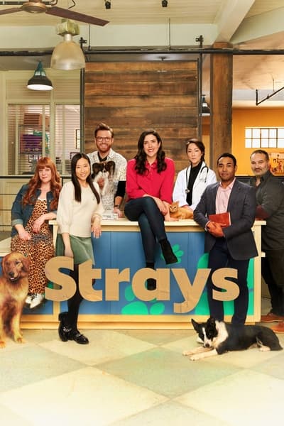 305706325_strays-s02e01-1080p-hevc-x265-megusta.jpg