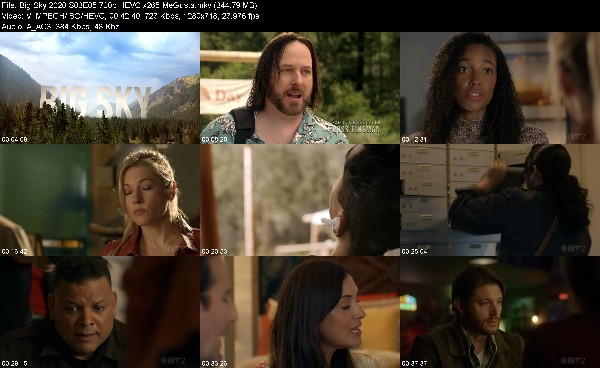 313577713_big-sky-2020-s03e05-720p-hevc-x265-megusta.jpg