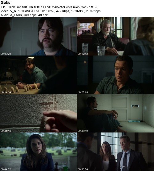 298168908_black-bird-s01e06-1080p-hevc-x265-megusta.jpg