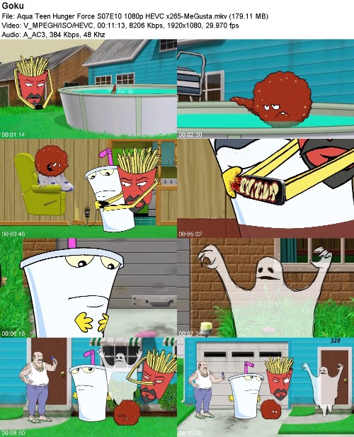 297035442_aqua-teen-hunger-force-s07e10-1080p-hevc-x265-megusta.jpg