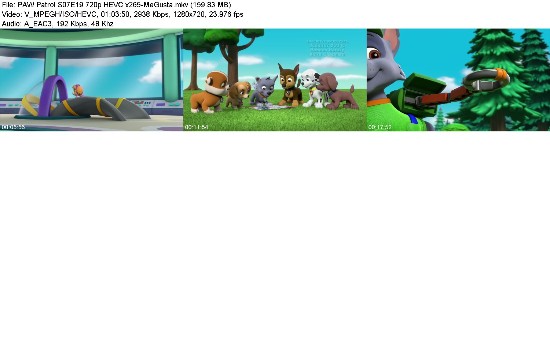 323428990_paw-patrol-s07e19-720p-hevc-x265-megusta.jpg