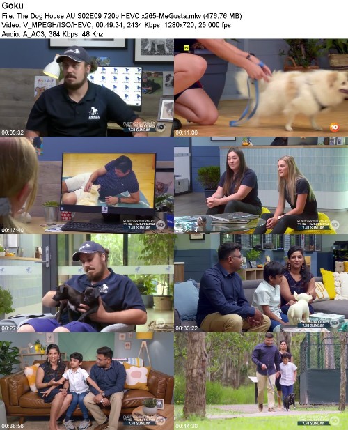 296057674_the-dog-house-au-s02e09-720p-hevc-x265-megusta.jpg