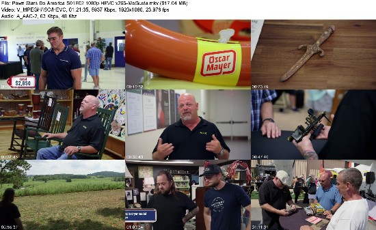 319867376_pawn-stars-do-america-s01e02-1080p-hevc-x265-megusta.jpg