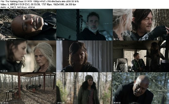 314205165_the-walking-dead-s11e21-1080p-hevc-x265-megusta.jpg