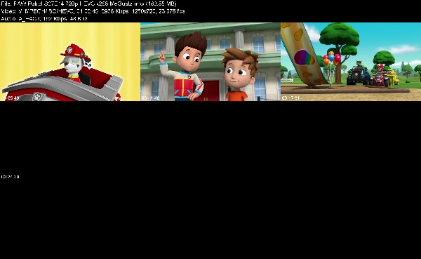 323427273_paw-patrol-s07e14-720p-hevc-x265-megusta.jpg