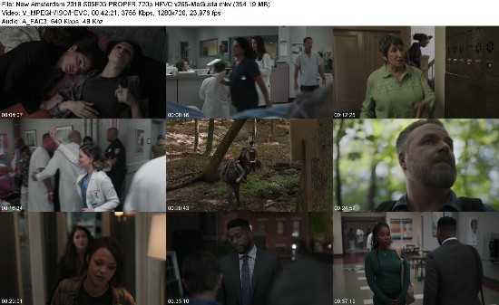 313357278_new-amsterdam-2018-s05e05-proper-720p-hevc-x265-megusta.jpg