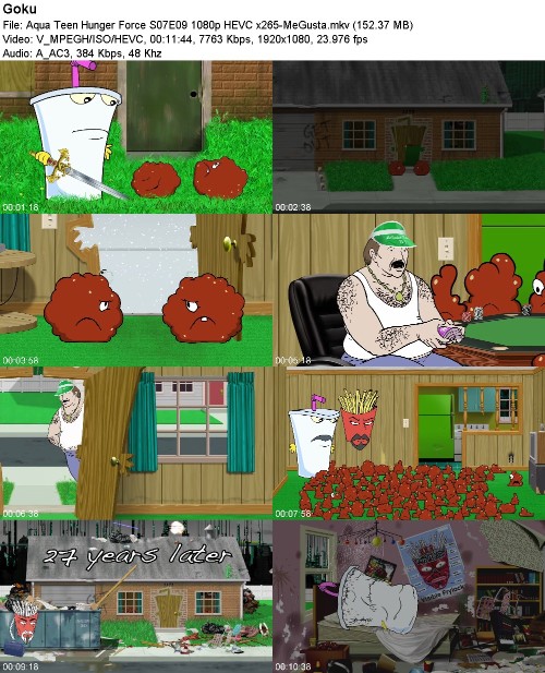 297035393_aqua-teen-hunger-force-s07e09-1080p-hevc-x265-megusta.jpg