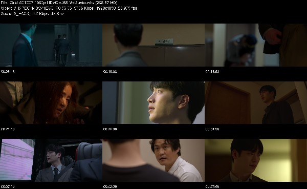 304812214_grid-s01e07-1080p-hevc-x265-megusta.jpg