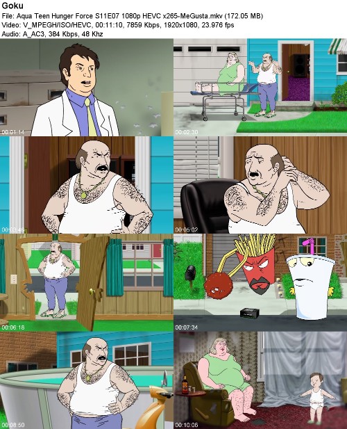 297057748_aqua-teen-hunger-force-s11e07-1080p-hevc-x265-megusta.jpg