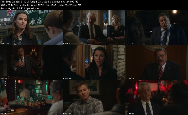 321924677_blue-bloods-s13e07-720p-hevc-x265-megusta.jpg