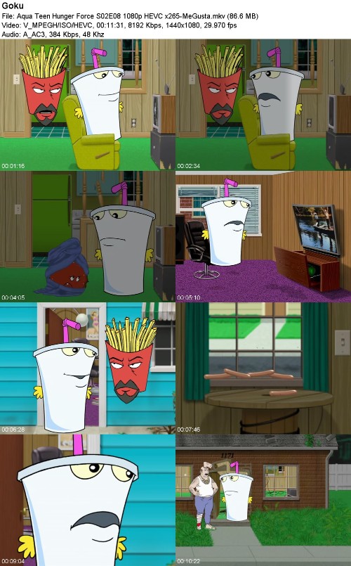 297002747_aqua-teen-hunger-force-s02e08-1080p-hevc-x265-megusta.jpg