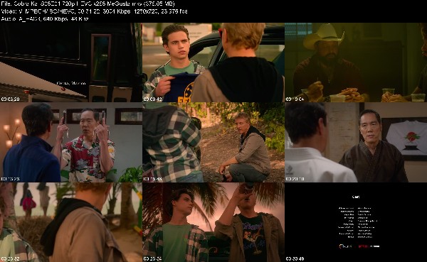 304828516_cobra-kai-s05e01-720p-hevc-x265-megusta.jpg