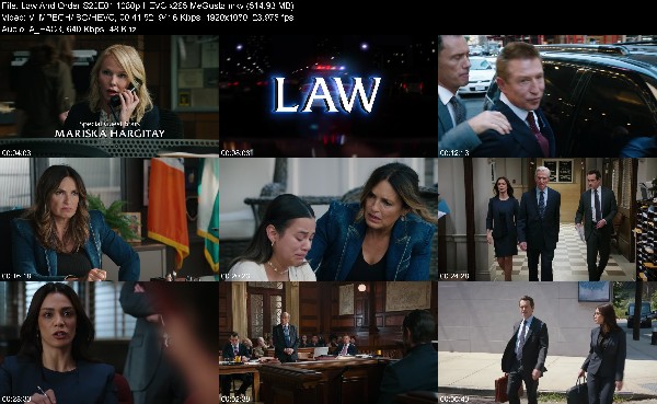 307600284_law-and-order-s22e01-1080p-hevc-x265-megusta.jpg