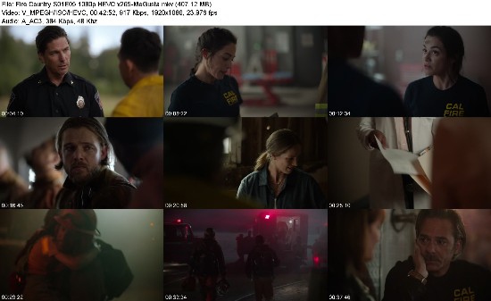 316905197_fire-country-s01e05-1080p-hevc-x265-megusta.jpg