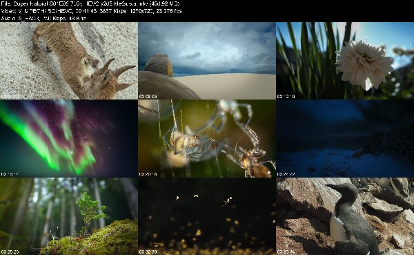 307274756_super-natural-s01e06-720p-hevc-x265-megusta.jpg