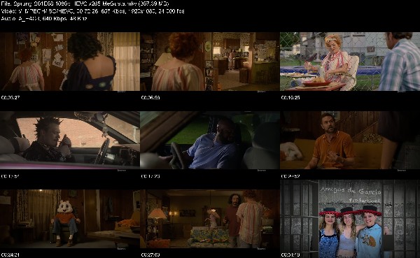 304629927_sprung-s01e08-1080p-hevc-x265-megusta.jpg