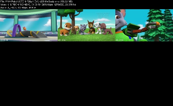 323430184_paw-patrol-s07e19-720p-hevc-x265-megusta.jpg